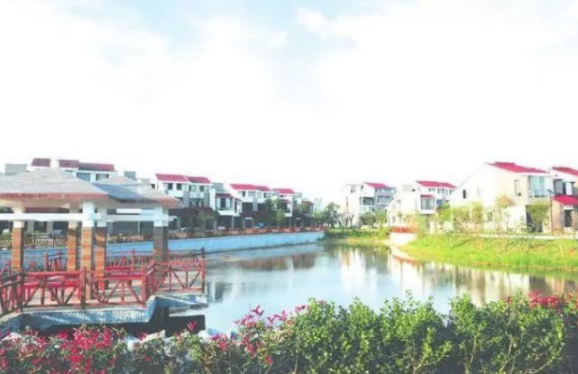 岳阳这项改革入围全国地方改革创新40案例!来