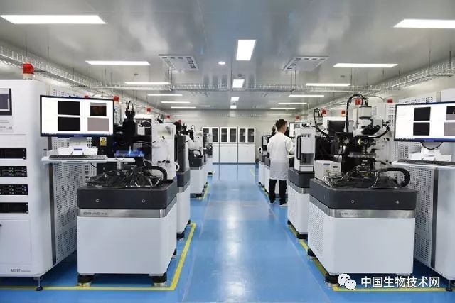 中国科学家将绘制最精细人脑三维地图