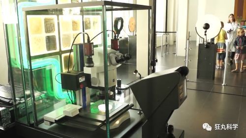 借200斤大象屎当展品?有洁癖千万别去看这家