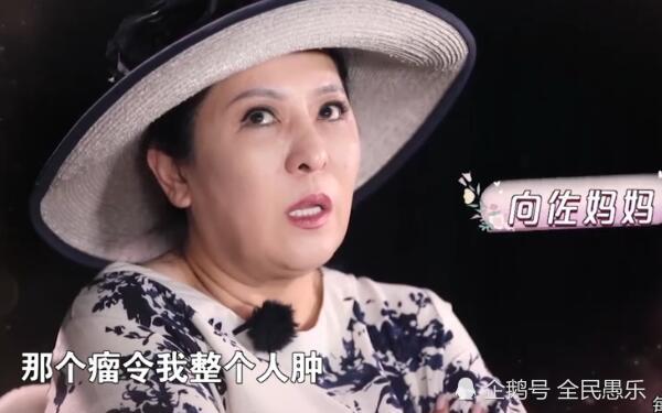 向太陈岚说出自己身材发福的原因,变胖后向华