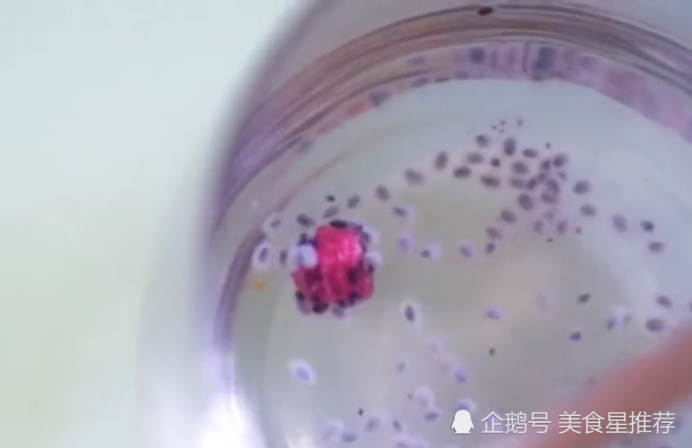 外国人发明代餐糖果,吃一颗就饱,用水泡开才