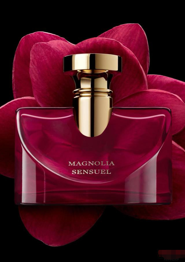 bvlgari splendida magnolia sensuel 宝格丽醉美兰香女士香水 695