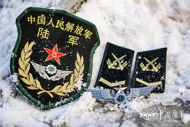 这组陆军战士的唯美剪影,请收藏!