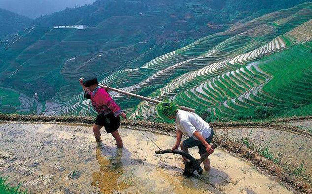 什么逢人口_常住人口登记卡是什么(3)