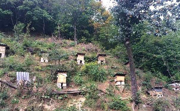 宝丰县gdp_宝丰县一高(3)