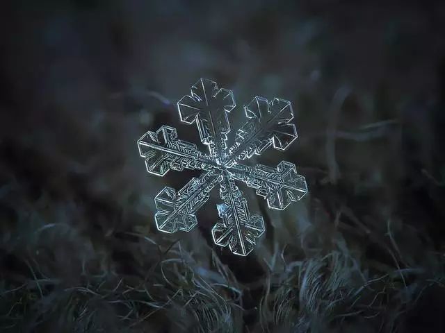 唯美雪花,真的太美了