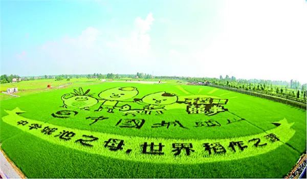 常德市2017年经济总量_常德市1976年工种油票(3)