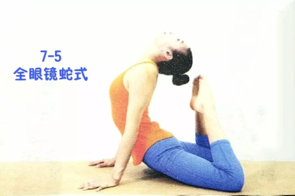 4.要点头部与脚掌尽量相触,胸腔上提,脊柱后展,头部不可过度后仰.