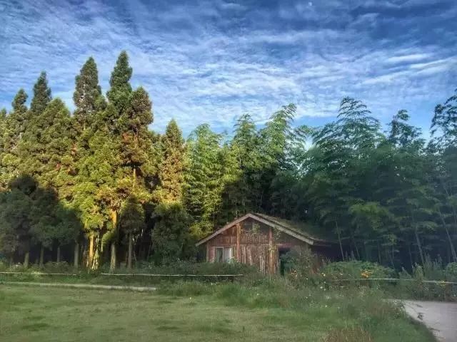 职场女神放弃高薪隐居山林,盖4间房,日子又慢又美