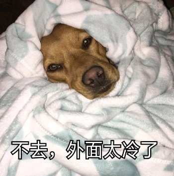 最怕冷