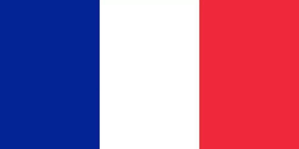 黄背心运动爆发四周,马克龙发誓减税、加薪,