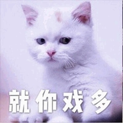 表情包:就你戏多,装疯卖傻还装作潇洒