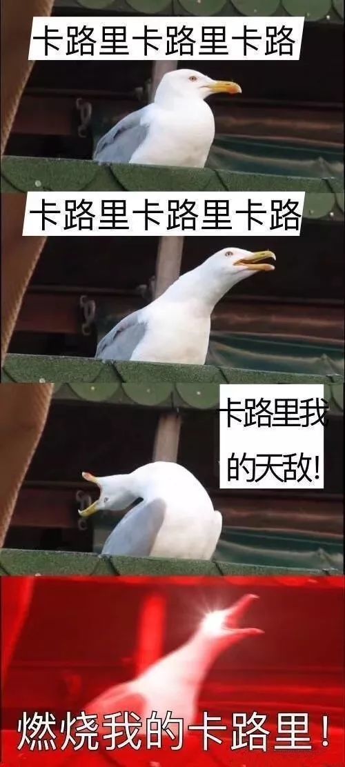 2018年度沙雕段子!差点被网友们的脑洞笑晕过