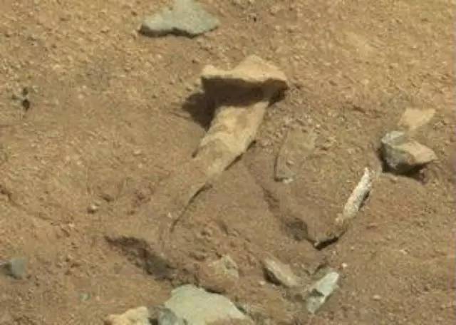 NASA明日公布重大发现:火星上发现了生物? 焦