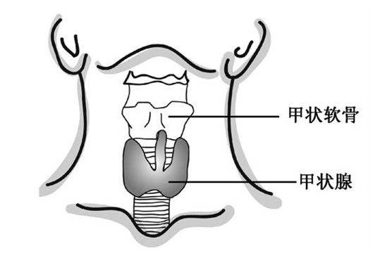 甲状腺疾病要注意什么?医生给出7个小建议要牢记