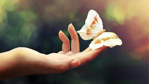 有一种情叫作放不下