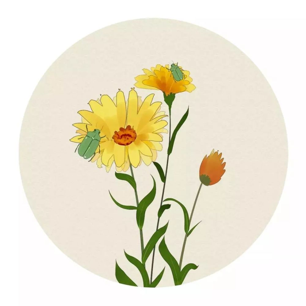 词语知识:吃醋来源于唐太宗吓唬大臣老婆,结