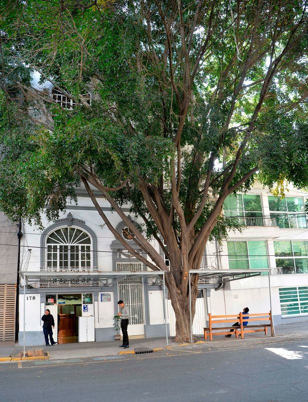 英国女子前往墨西哥旅游意外死亡,遗体器官离