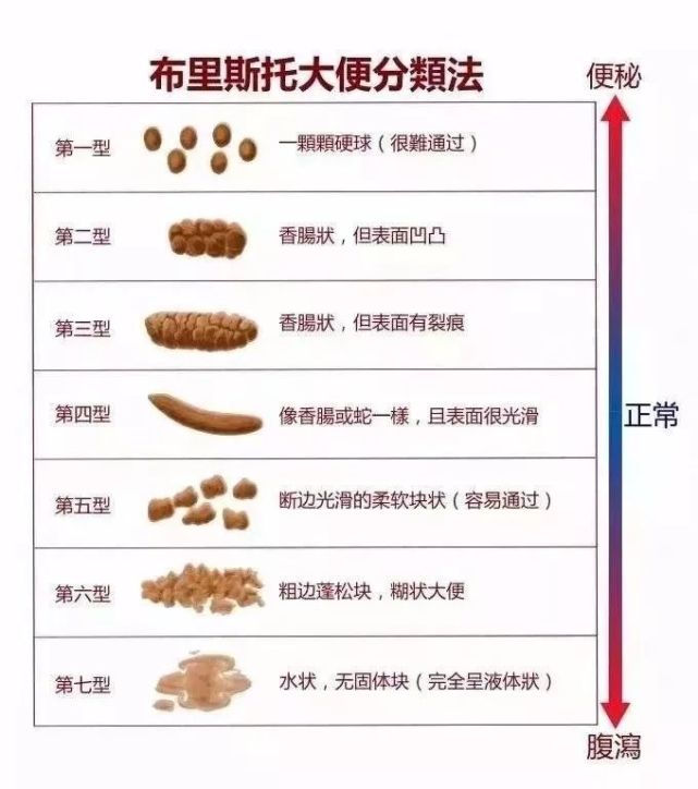 如果大便是一颗一颗独立的硬块,则说明体内缺乏纤维素和水分,需要多吃