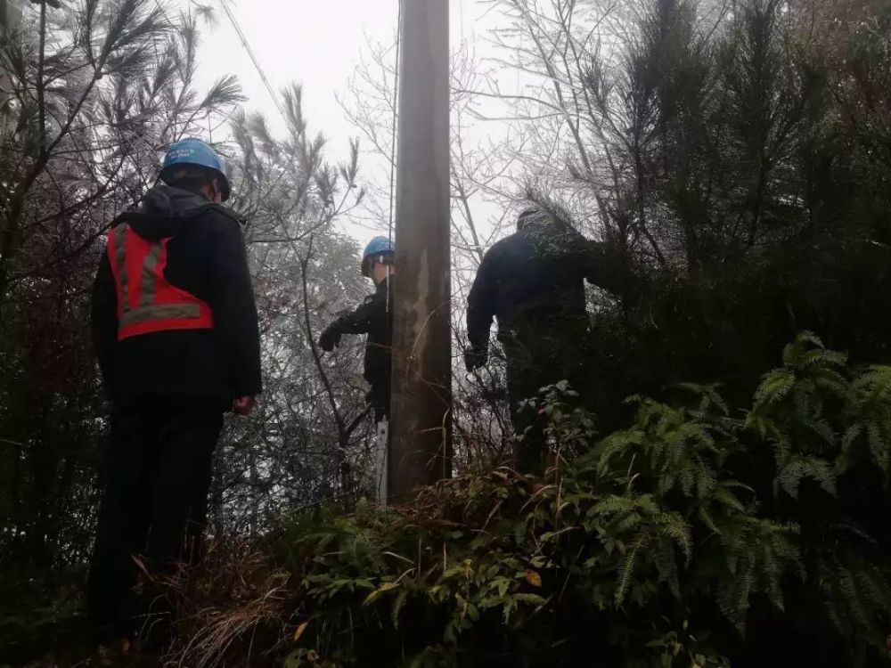 将乐这群人去海拔1260米的雪峰山,干啥去了?