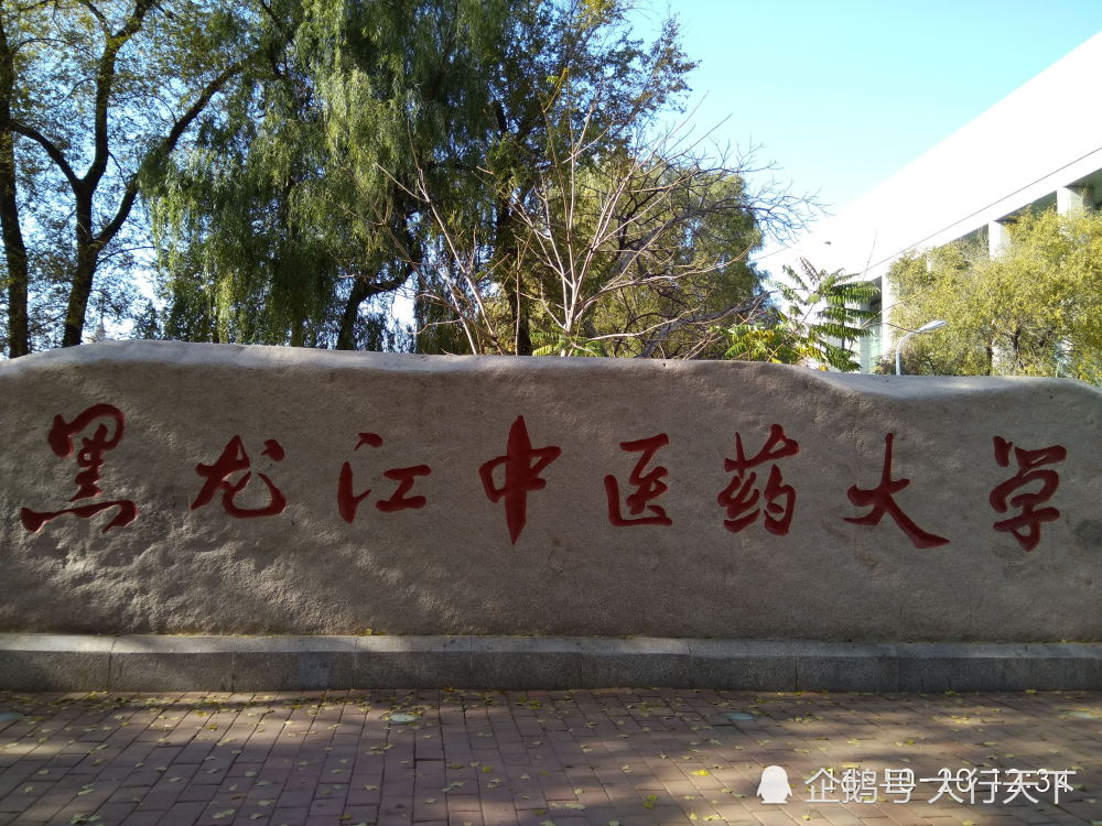 四非大学——黑龙江中医药大学(非985,非211,非一流高校,非一流学科)