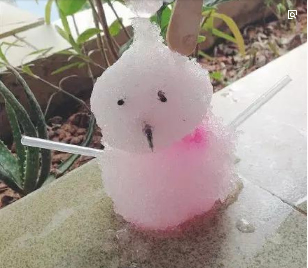 南方下雪了,网友:当地人玩的好嗨呦北方去避