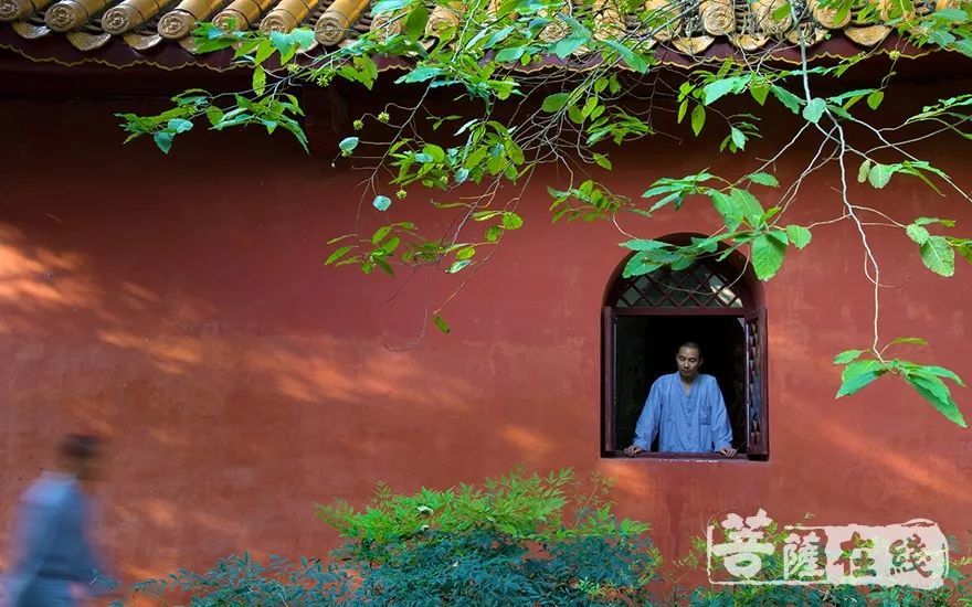 三皈依是什么意思?你真的知道吗?