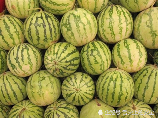 看见荒漠里的野生西瓜,要小心离得远远的,一口