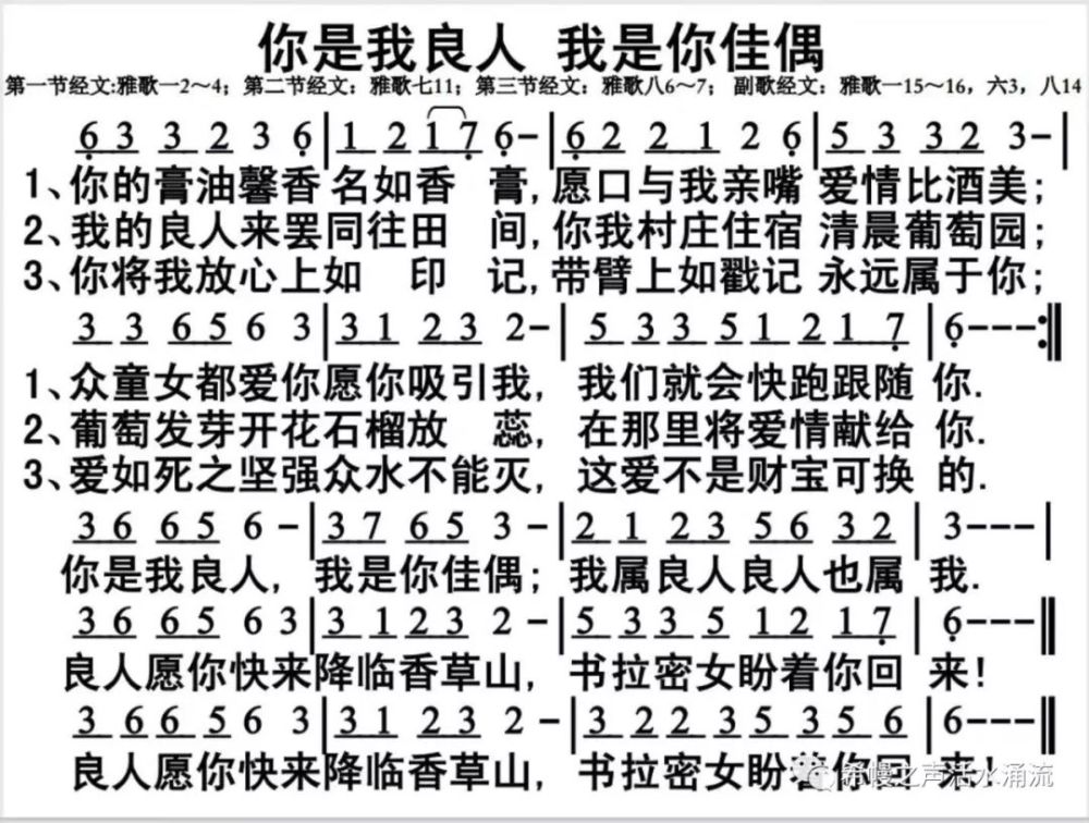 青年诗歌216首你是我良人我是你佳偶