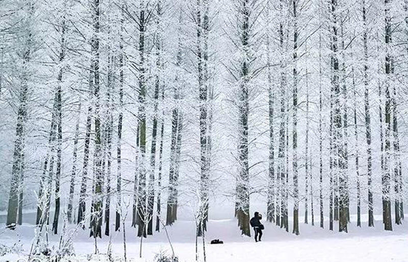 千山鸟飞绝万径人踪灭猜一个四字成语