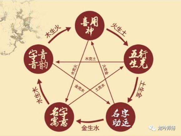 属猪人八字命盘解析大全 属猪生辰八字命运如何