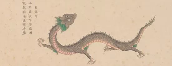 古代怪兽鸡冠蛇，剧毒无比，发动攻击时头上的鸡冠发生变化