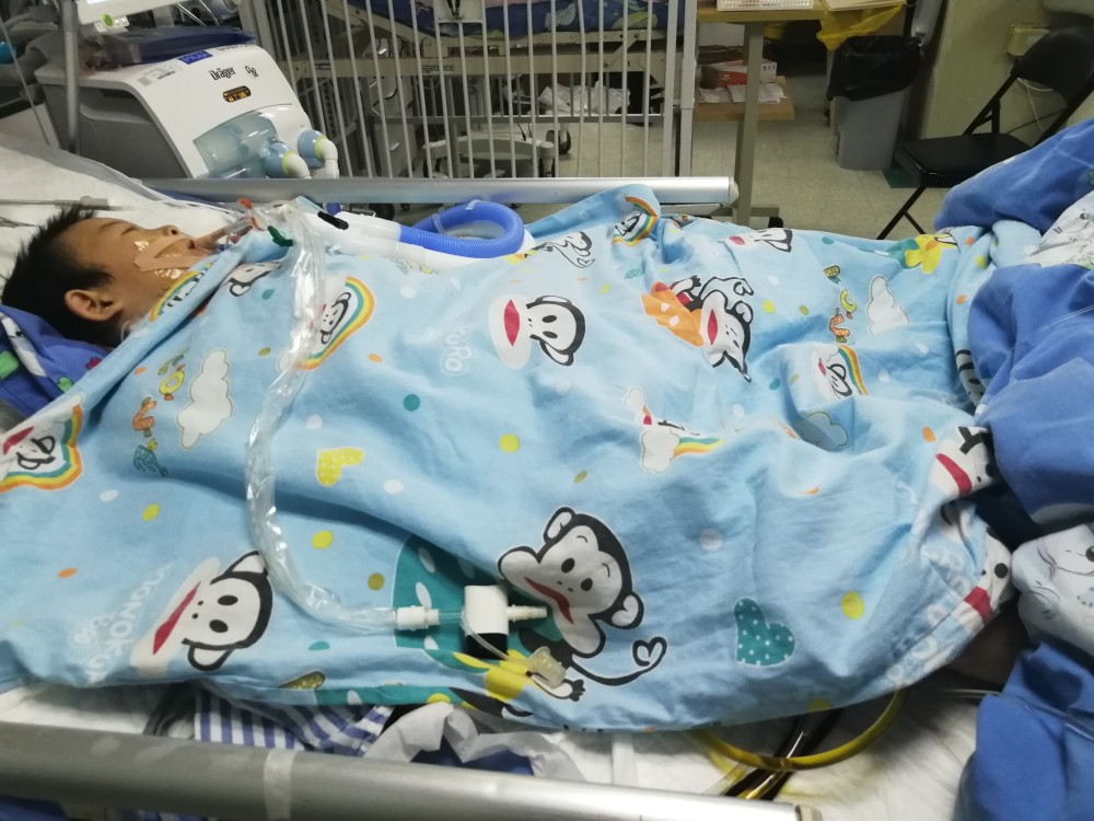 男孩患罕见病怀孕10年,被同学推进粪坑:你是