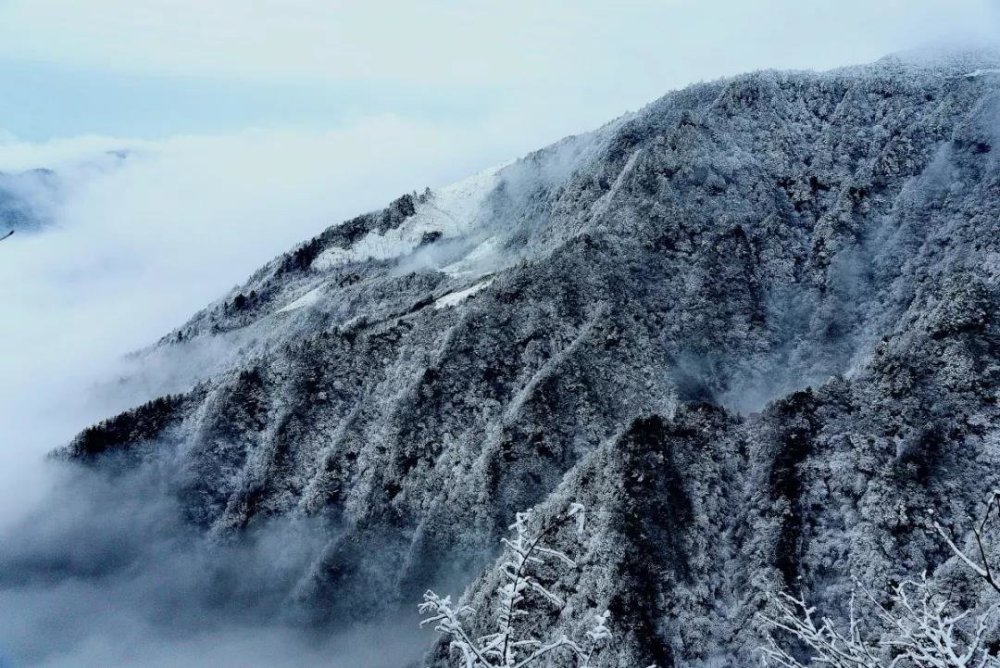 美翻了,巴山大峡谷雪景