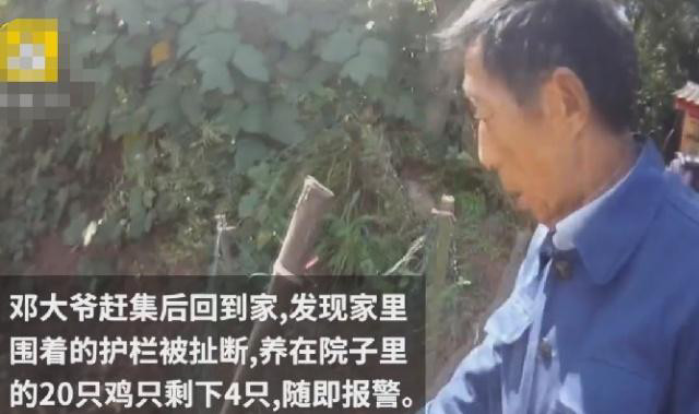 人口失踪属于什么案件_全球最神秘的失踪案,实在离奇(2)