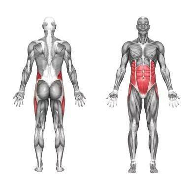 健身用图文来解析展示这八大最高效腹肌锻炼动作