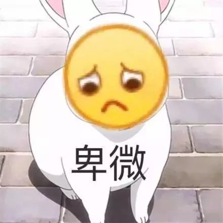 合集 卑微表情包
