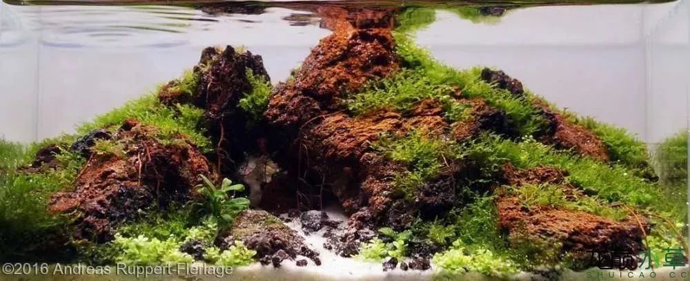 造景素材当然离不开石头,今天给大家整理了几种常见造景石的造景示例