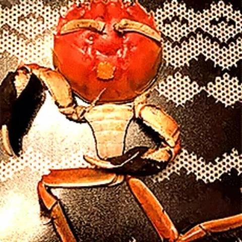 吃货们已经把螃蟹玩坏了!