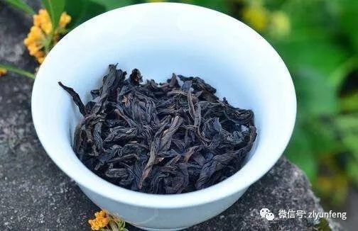 乌龙茶分类及品质特征--福建乌龙茶
