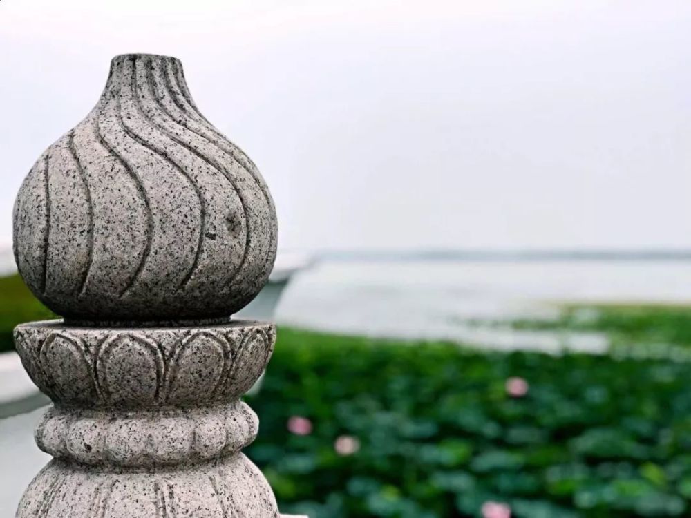 学佛一定要趁早，老来才会有福报!