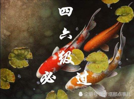 这位985大学女教授,四六级满分记录至今无人能