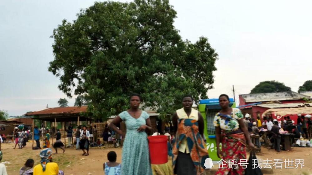 非洲最独特旅游观光车,2元游全城每车仅1人,黑