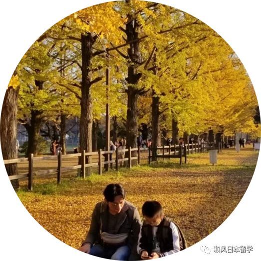 日本留学之忘年会聚餐,吃顿中餐假装自己回了