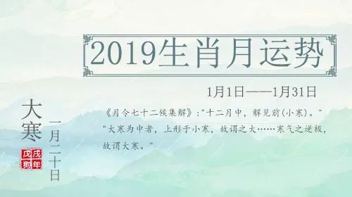 非常运势网2019年1月生肖总体运势详解
