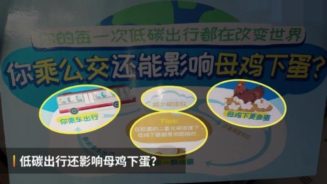 天津公交车上“养鸡”？乘车还能得鸡蛋？市民：感谢支付宝[墙根网]