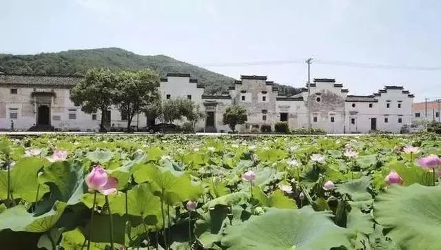 好日子扬琴伴奏曲谱