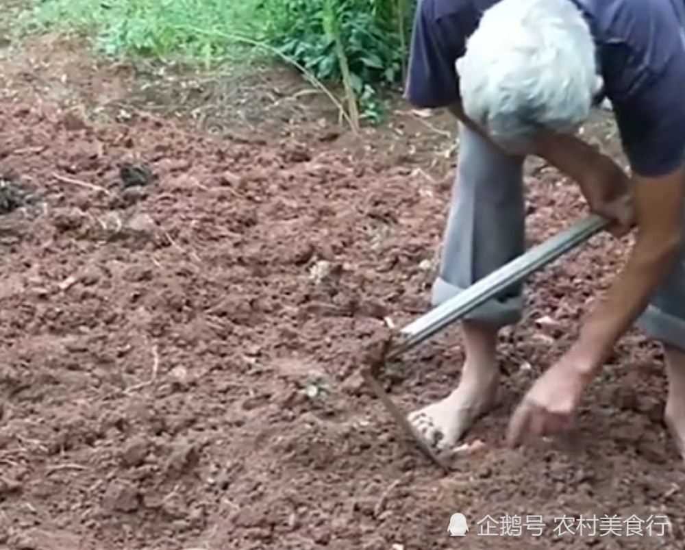 中国境内最可怜的沙漠,被农民用来种土豆,没