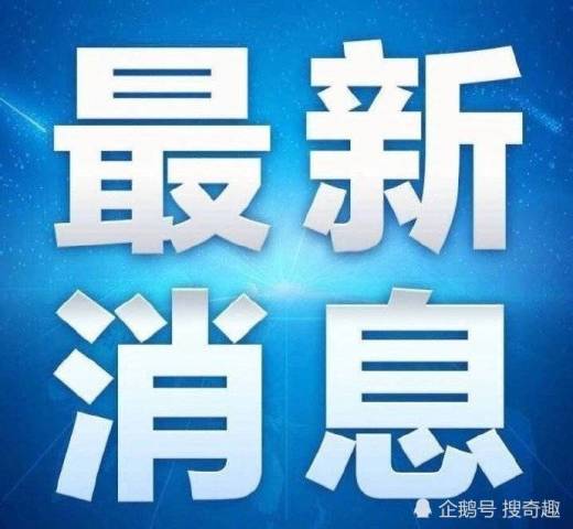 表情包:小看我?谁手机里面还没有几张"说正事专用"配图