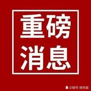 表情包:小看我?谁手机里面还没有几张"说正事专用"配图